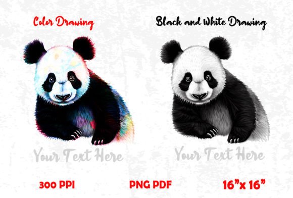 Download Panda Color Drawing - Premium Resources